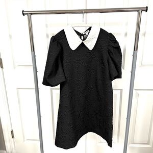 Chic Black Dress with White Collar